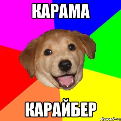 карама карайбер, Мем Advice Dog