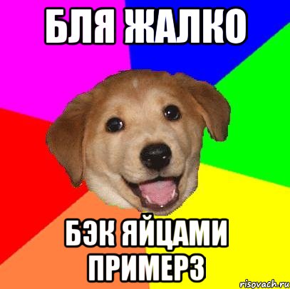 БЛЯ ЖАЛКО БЭК ЯЙЦАМИ ПРИМЕРЗ, Мем Advice Dog