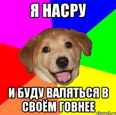 я насру и буду валяться в своём говнее, Мем Advice Dog