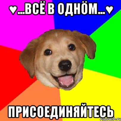 ♥...Всё в однöм...♥ Присоединяйтесь, Мем Advice Dog