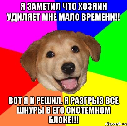 Я заметил что хозяин удиляет мне мало времени!! Вот я и решил. Я разгрыз все шнуры в его системном блоке!!!, Мем Advice Dog