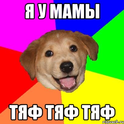 я у мамы тяф тяф тяф, Мем Advice Dog