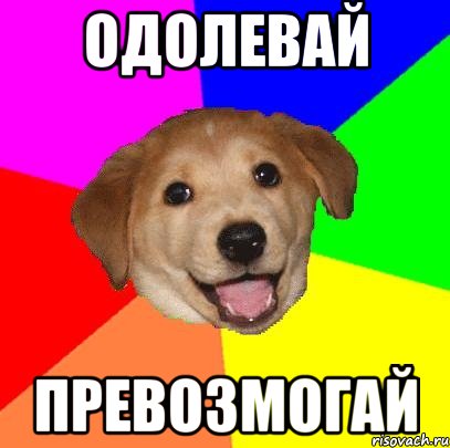 Одолевай Превозмогай, Мем Advice Dog