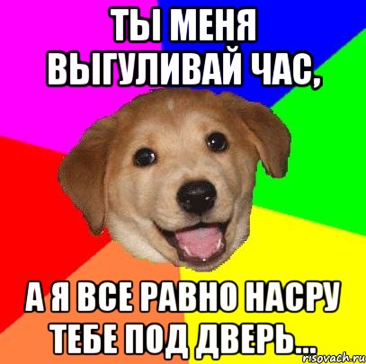 Ты меня выгуливай час, а я все равно насру тебе под дверь..., Мем Advice Dog