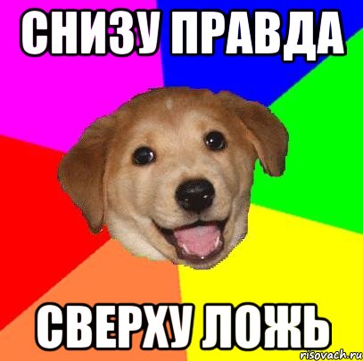 Снизу правда Сверху ложь, Мем Advice Dog