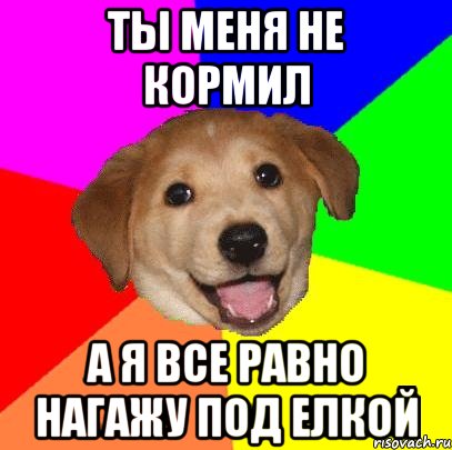 ТЫ меня не кормил а я все равно нагажу под елкой, Мем Advice Dog