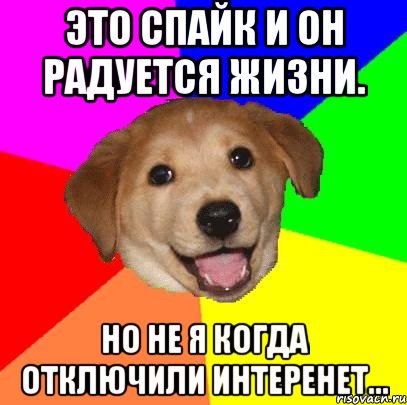 Это Спайк и он радуется жизни. Но не я когда отключили интеренет..., Мем Advice Dog