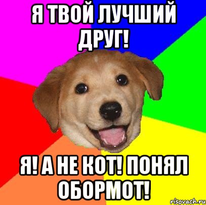 Я твой лучший друг! Я! а не кот! Понял обормот!, Мем Advice Dog