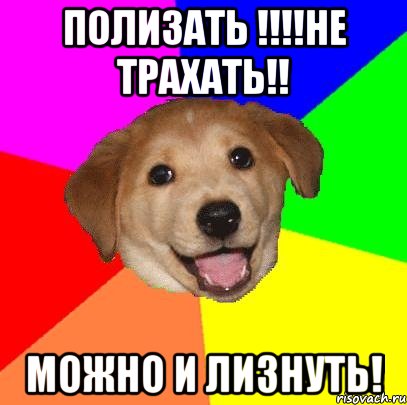 полизать !!!!не трахать!! МОЖНО И ЛИЗНУТЬ!, Мем Advice Dog