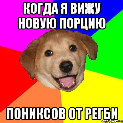 Когда я вижу новую порцию пониксов от Регби, Мем Advice Dog