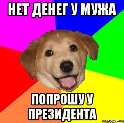 нет денег у мужа попрошу у президента, Мем Advice Dog