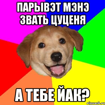 ПАРЫВЭТ МЭНЭ ЗВАТЬ ЦУЦЕНЯ А ТЕБЕ ЙАК?, Мем Advice Dog