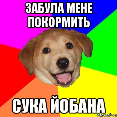 забула мене покормить сука йобана, Мем Advice Dog