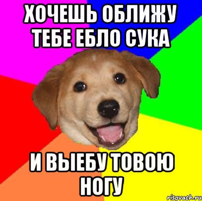 Хочешь оближу тебе ебло сука И выебу товою ногу, Мем Advice Dog