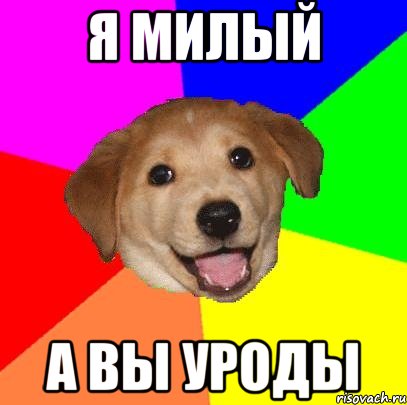 я милый а вы уроды, Мем Advice Dog