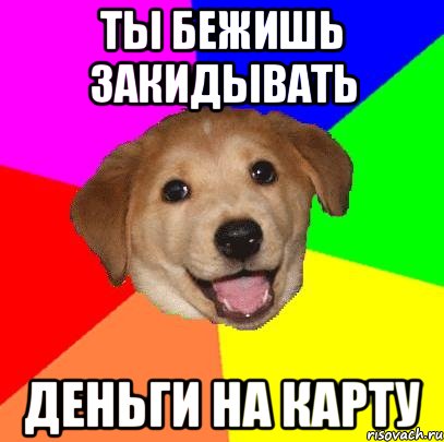 Ты бежишь закидывать деньги на карту, Мем Advice Dog