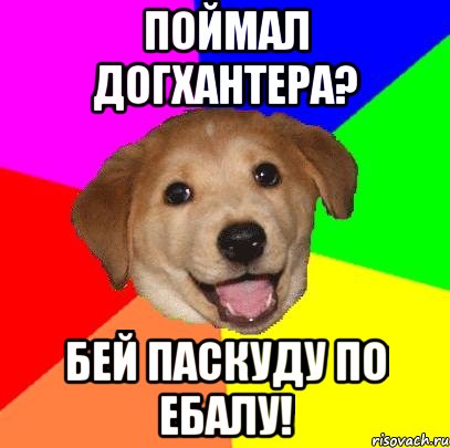 ПОЙМАЛ ДОГХАНТЕРА? БЕЙ ПАСКУДУ ПО ЕБАЛУ!, Мем Advice Dog