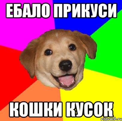 ЕБАЛО ПРИКУСИ КОШКИ КУСОК, Мем Advice Dog