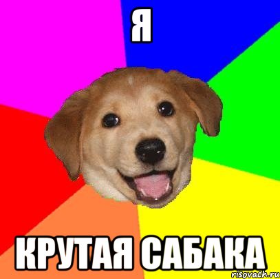 я крутая сабака, Мем Advice Dog