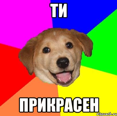 ти прикрасен, Мем Advice Dog