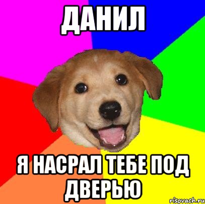 Данил Я насрал тебе под дверью, Мем Advice Dog