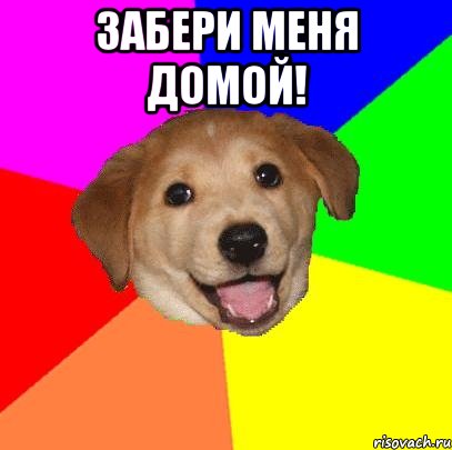 ЗАБЕРИ МЕНЯ ДОМОЙ! , Мем Advice Dog