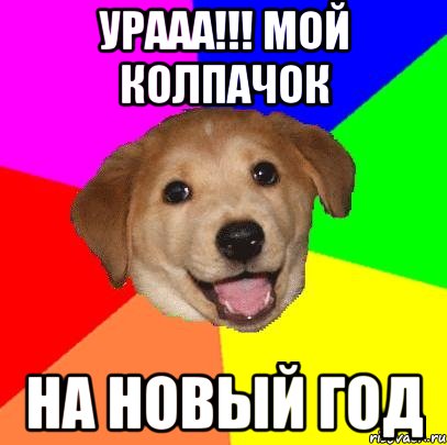 Урааа!!! Мой колпачок на Новый год, Мем Advice Dog