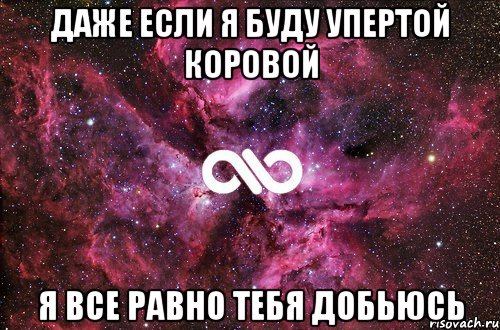 Даже если я буду упертой коровой Я все равно тебя добьюсь, Мем офигенно