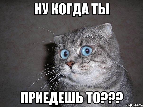 НУ КОГДА ТЫ ПРИЕДЕШЬ ТО???