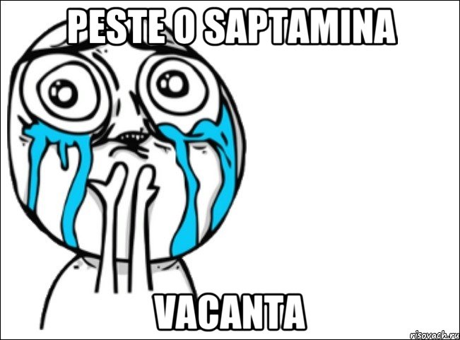 Peste o saptamina vacanta, Мем Это самый