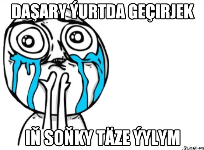 Daşary ýurtda geçirjek iň soňky täze ýylym, Мем Это самый