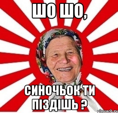 шо шо, синочьок ти піздішь ?, Мем  бабуля