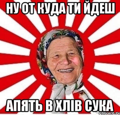 ну от куда ти йдеш апять в хлів сука, Мем  бабуля