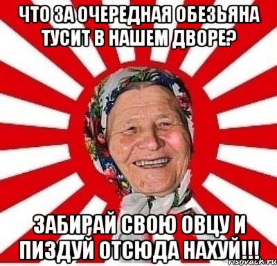 Что за очередная обезьяна тусит в нашем дворе? Забирай свою овцу и пиздуй отсюда нахуй!!!, Мем  бабуля