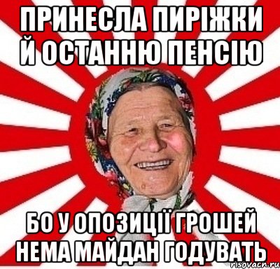 Принесла пиріжки й останню пенсію Бо у опозиції грошей нема майдан годувать, Мем  бабуля