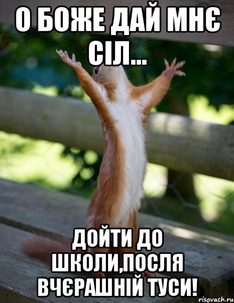 О Боже дай мнє сіл... дойти до школи,посля вчєрашній туси!, Мем    белка молится