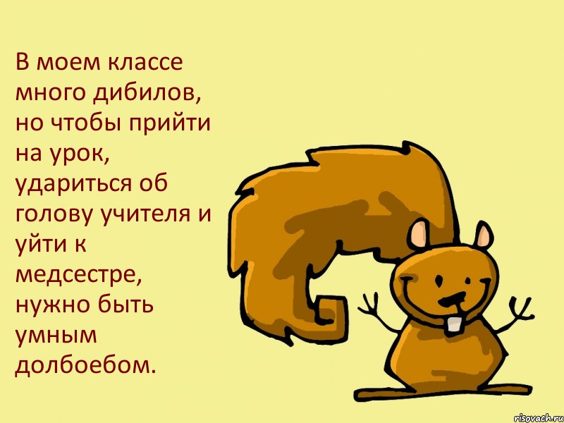 В моем классе много дибилов, но чтобы прийти на урок, удариться об голову учителя и уйти к медсестре, нужно быть умным долбоебом., Комикс  белка