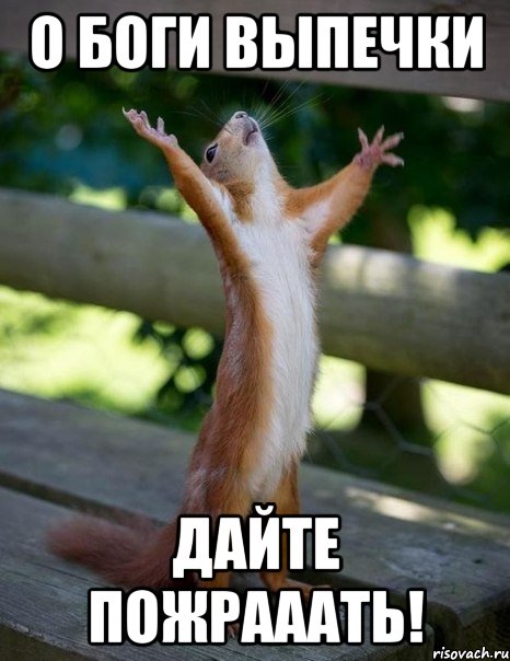 О Боги выпечки дайте пожрааать!, Мем    белка молится