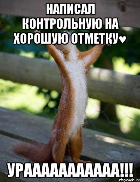 Написал контрольную на хорошую отметку♥ Урааааааааааа!!!, Мем    белка молится