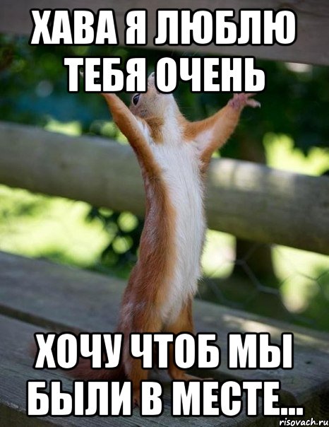ХАВА Я ЛЮБЛЮ ТЕБЯ ОЧЕНЬ хочу чтоб мы были в месте..., Мем    белка молится
