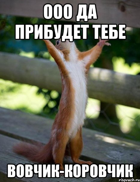 Ооо да прибудет тебе Вовчик-коровчик, Мем    белка молится