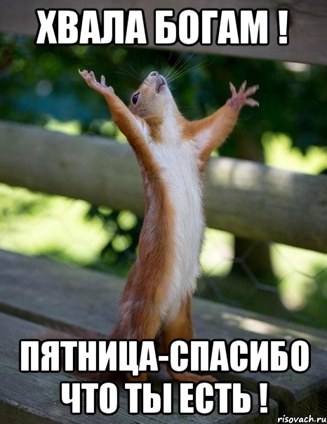 Хвала богам ! ПЯТНИЦА-спасибо что ты есть !