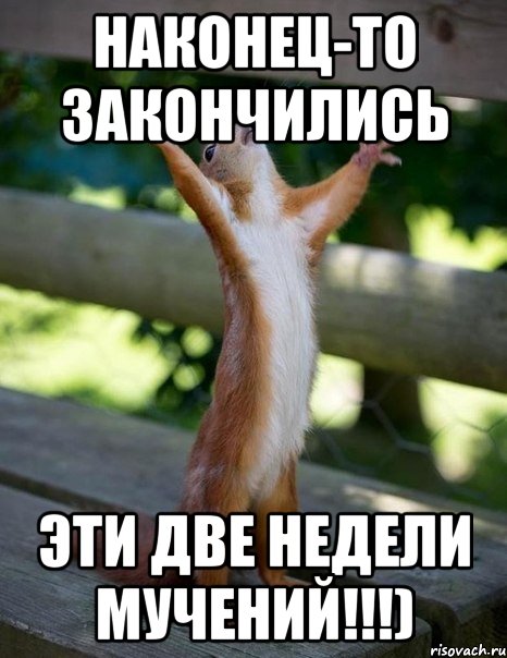 наконец-то закончились эти две недели мучений!!!), Мем    белка молится