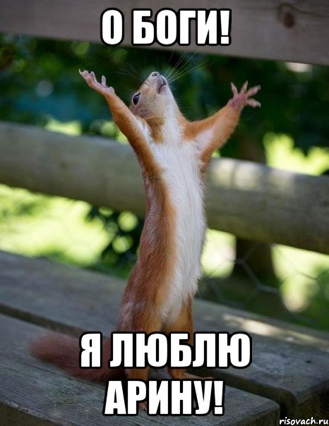 О боги! Я люблю Арину!