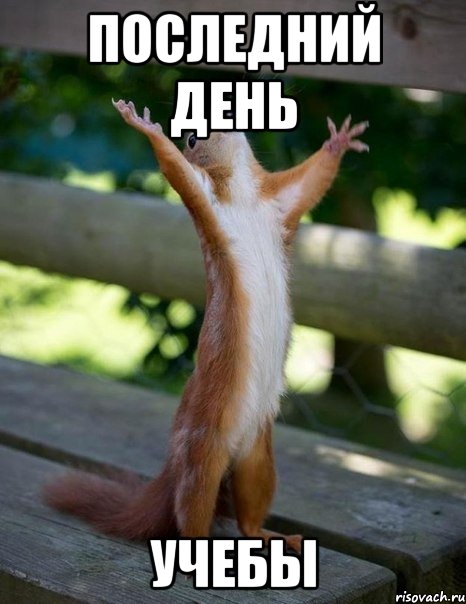 последний день учебы