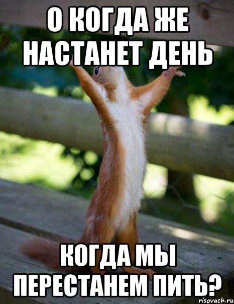 О когда же настанет день когда мы перестанем пить?, Мем    белка молится