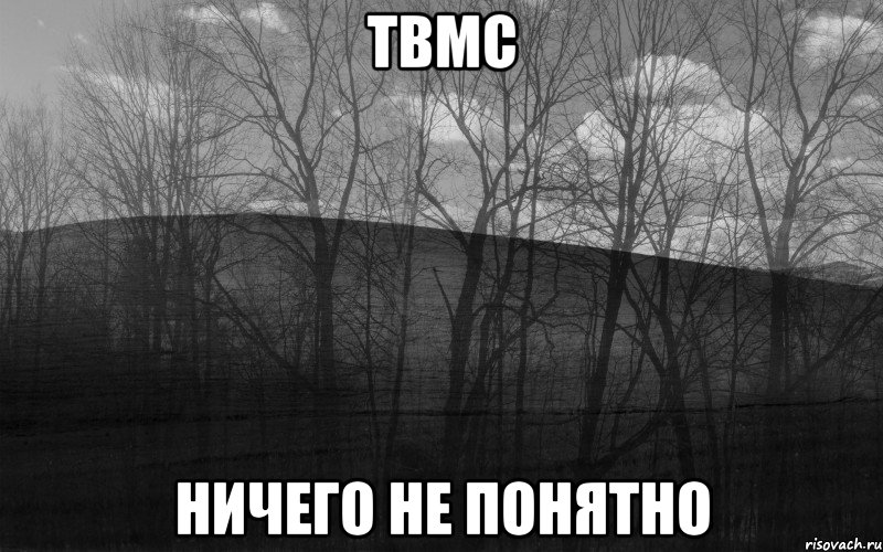 ТВМС НИЧЕГО НЕ ПОНЯТНО