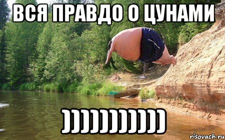 Вся правдо о цунами )))))))))))