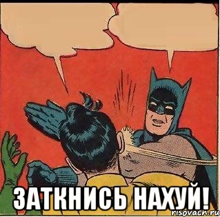  Заткнись нахуй!, Комикс   Бетмен и Робин