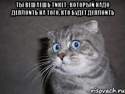 ты вешаешь тикет , который надо деплоить на того, кто будет деплоить , Мем  удивлённый кот